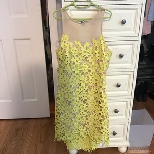 Lovers and friends sheer flower dress